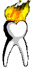 torchanimatedgif
